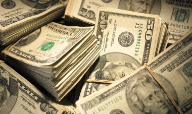 Valerie Hillings ranks as North Carolina's highest-paid state employee. Here's the full database