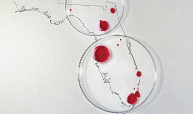 Cancer research funding in Florida