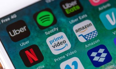 What went wrong with Snap, Netflix and Uber?