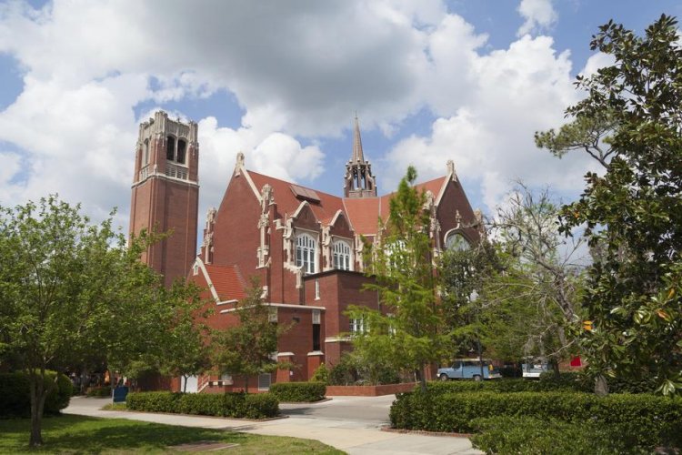 UF presidential search process draws no-confidence vote