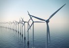 From midterm elections to utility companies: What could stifle North Carolina's offshore wind future