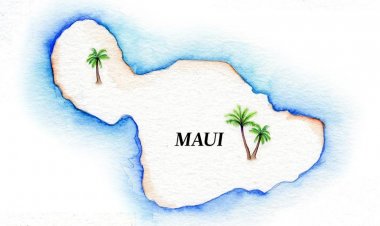 Maui Business Brainstormers resumes in-person events