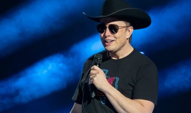 Energy sector needs firms with mentality of Tesla and Amazon to move forward, CEO says