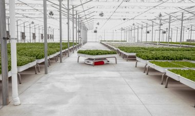 Iron Ox lays off half the company, says Austin-area greenhouse to remain open