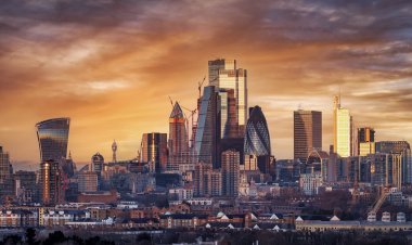 It's a 'wild west out there': CEO says regulation needed to keep firms in line on sustainability