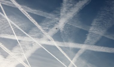 Taxation is a blunt instrument, IATA chief Willie Walsh says: 'The carrot is far more effective than the stick'