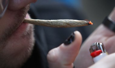 Here are the states voting on marijuana legalization on Election Day