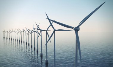 From midterm elections to utility companies: What could stifle North Carolina's offshore wind future