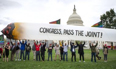 Here's how five states voted on the legalization of recreational marijuana
