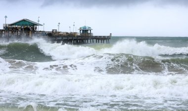 Hurricane Nicole snarls travel in Florida, Orlando airport suspends flights