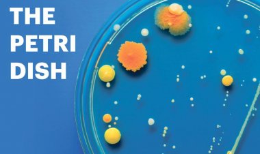 The Petri Dish: Biogen's CEO search stalls again; A setback for Verve