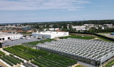 Maryland industrial market could get a boost after voters approve legalizing recreational cannabis