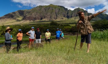 Group of business leaders completes Movers and Shakas Hawaii Talent Onboarding Program