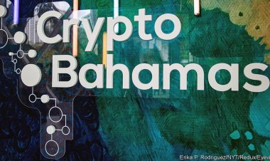 FTX’s failure and SoftBank’s struggles point to a tech investing hangover