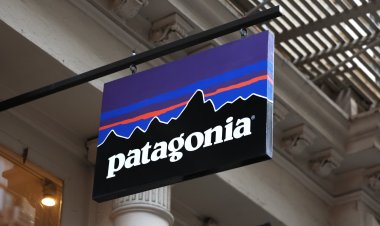 Is Patagonia the end game for profits in a world of climate change?