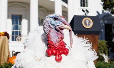 5 things to know before the stock market opens Wednesday