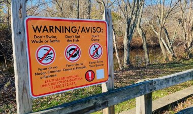 Providence eyes $1M plan to clean stormwater pollution