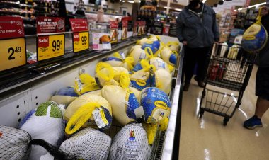 Preparing to eat turkey today? Arizona Thanksgiving meal costs skyrocket