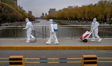 China's Covid infections drop for the first time in more than a week