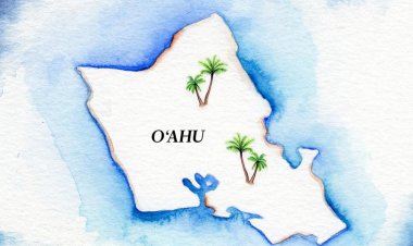 Honolulu's Department of Planning and Permitting launches revamped website in effort to improve efficiency