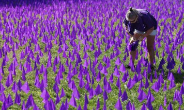 Drug overdose deaths among seniors have more than tripled in two decades