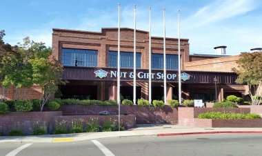 Blue Diamond Growers reports $1.61 billion in revenue for 2022 crop year