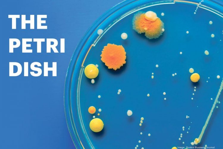 The Petri Dish: Biogen's CEO search stalls again; A setback for Verve