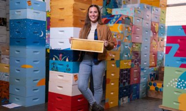 How Bee Downtown's sustainable impact helps companies – from SAS to Cisco – incentivize return to the office