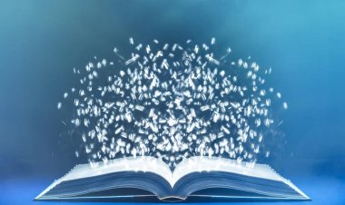 Opinion: A little curiosity can go a long way