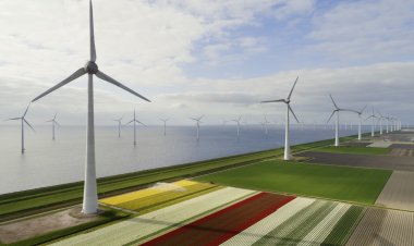 Renewables to overtake coal and become world's biggest source of electricity generation by 2025, IEA says