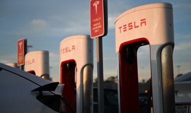 Longtime Tesla bear Toni Sacconaghi says more price cuts needed to spur demand