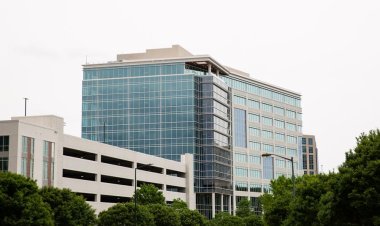 Northwood Office partners with TreesCharlotte on tree distribution event