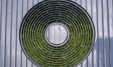 Heat pumps are an energy upgrade for homeowners that's becoming a climate and financial winner