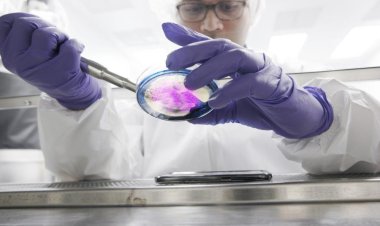 Pharmaceutical packaging maker Nelipak to create 80 jobs, invest $20M in North Carolina