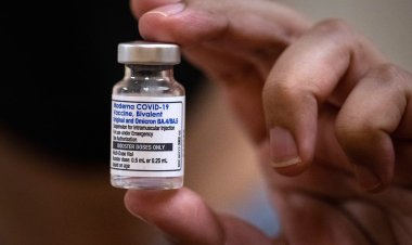 Omicron boosters are 84% effective at keeping seniors from being hospitalized with Covid, CDC says