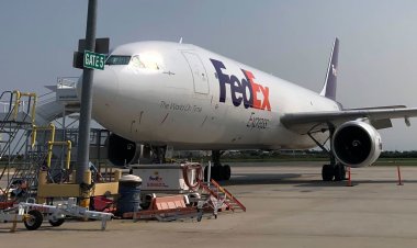 FedEx plans more cost cuts as soft demand hurts profits