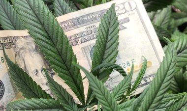 Regulators suspend cannabis money-services startup Left Coast Financial Solutions