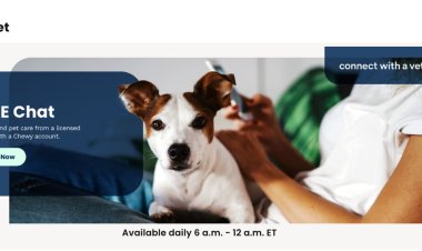 Chewy's push into pet telehealth runs into regulatory hurdles, skeptical veterinarians