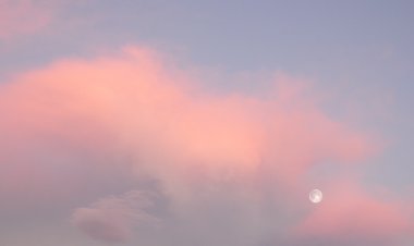 There's a buzz about green hydrogen. But pink, produced using nuclear, may have a huge role to play too