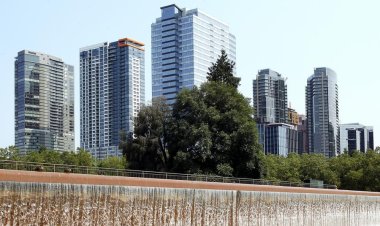 Tech companies fueled development in Bellevue, but now the future is murky