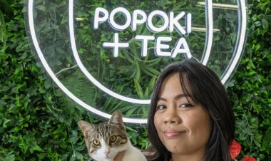Popoki + Tea helps find purrfect homes for rescue cats