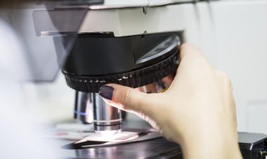 Company selected to complete federally funded BBA study