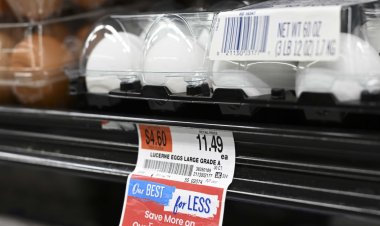 CNBC Daily Open: U.S. inflation rose more than expected. But stocks held steady