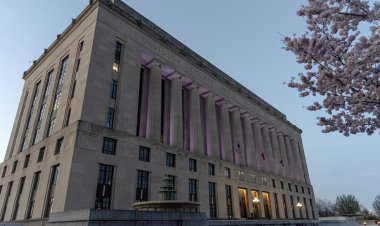 Former school board member Fran Bush enters race for Nashville mayor