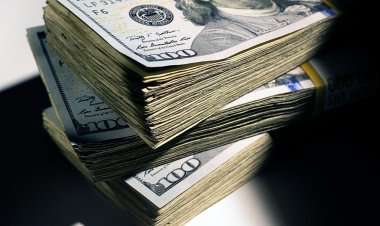 Verrica Pharmaceuticals expects $32.5M from the sale of stock and warrants