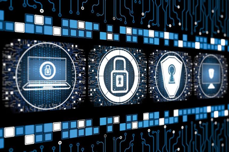 Tampa cyber company taps Amazon exec for C-suite after $3.8M raise