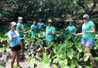 Hawaiian Telcom donated $1.2M to nonprofits in 2022