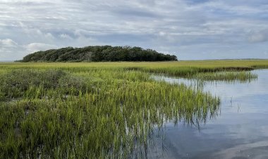 State closes on Little Tiger Island in Nassau County for $1.96M