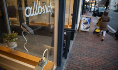 Allbirds stock plunges after company admits missteps, unveils new strategy