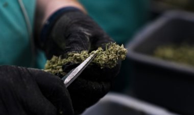 Missouri paces to be the fastest state to reach $1B in cannabis sales